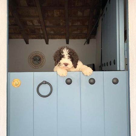Вилла La Puerta Azul Борнос Экстерьер фото